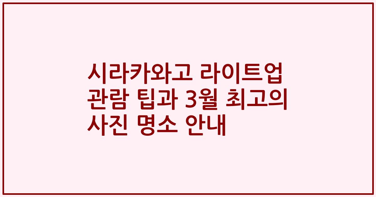 시라카와고 라이트업 관람 팁과 3월 최고의 사진 명소 안내