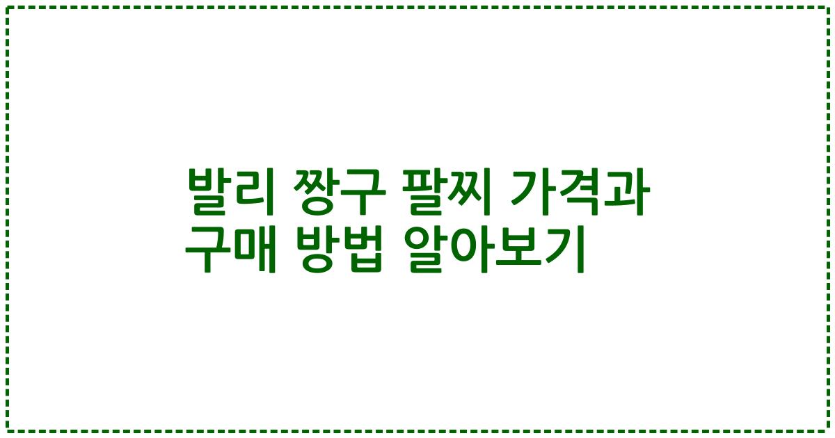 발리 짱구 팔찌 가격과 구매 방법 알아보기
